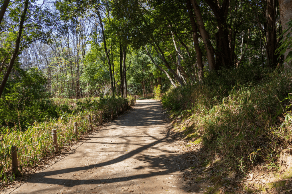 不登校・新年度ロードマップ