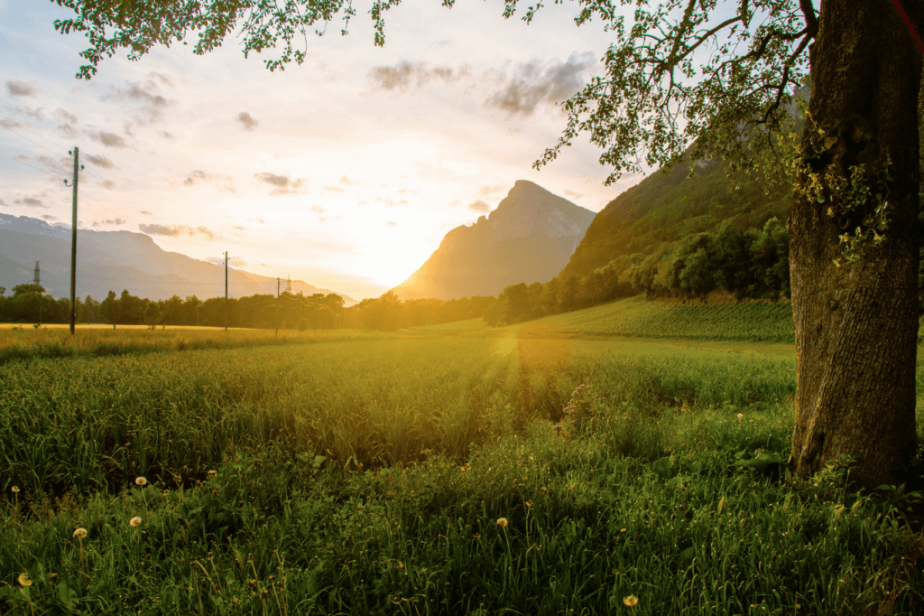 不登校の新年度　まとめ